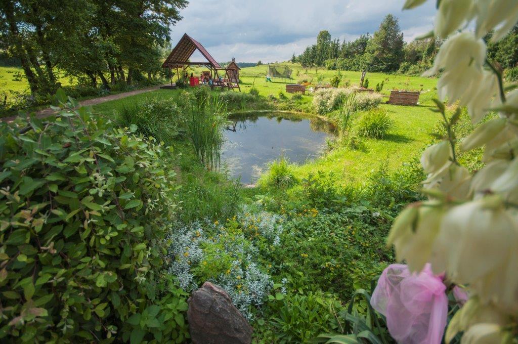 Bed and Breakfast Pensjonat Agroturystyczny Pod Modrzewiem Florczaki Экстерьер фото